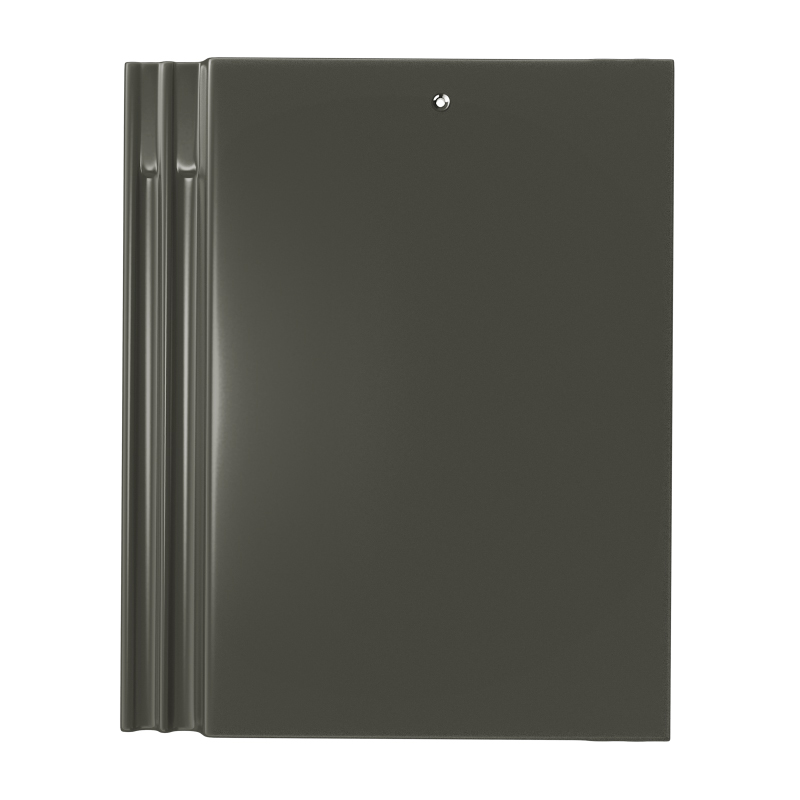 สีซิลเวอร์เกรย์ (SILVER GREY)