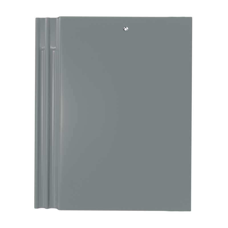 สีแพลทตินั่ม (PLATINUM)